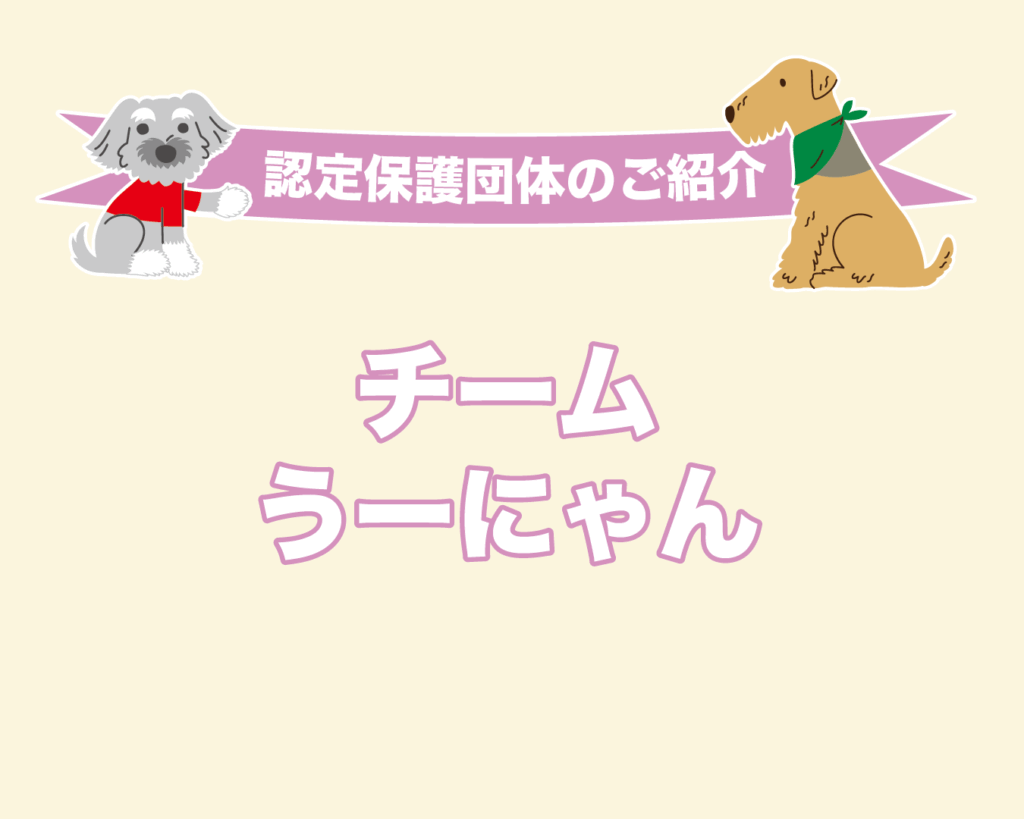 ◆認定保護団体のご紹介◆チームうーにゃん