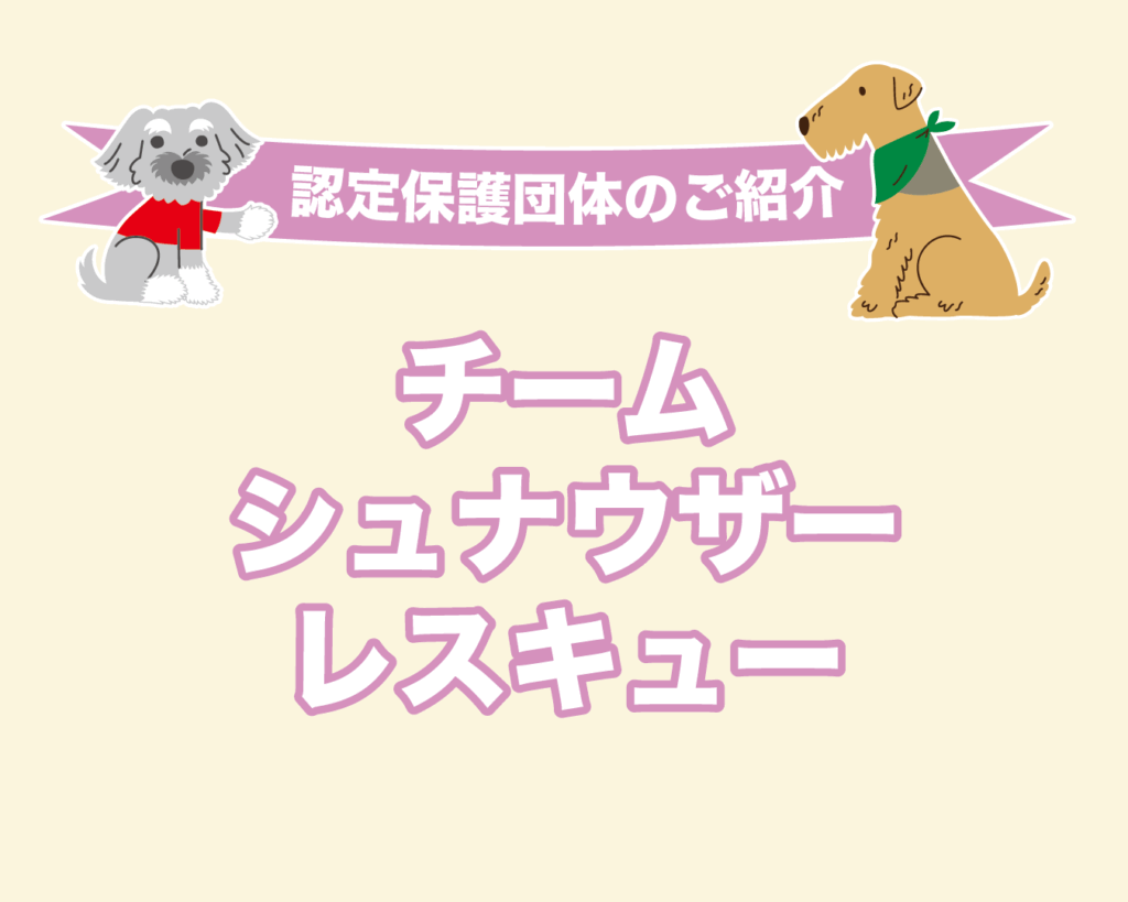 ◆認定保護団体のご紹介◆チームシュナウザーレスキュー
