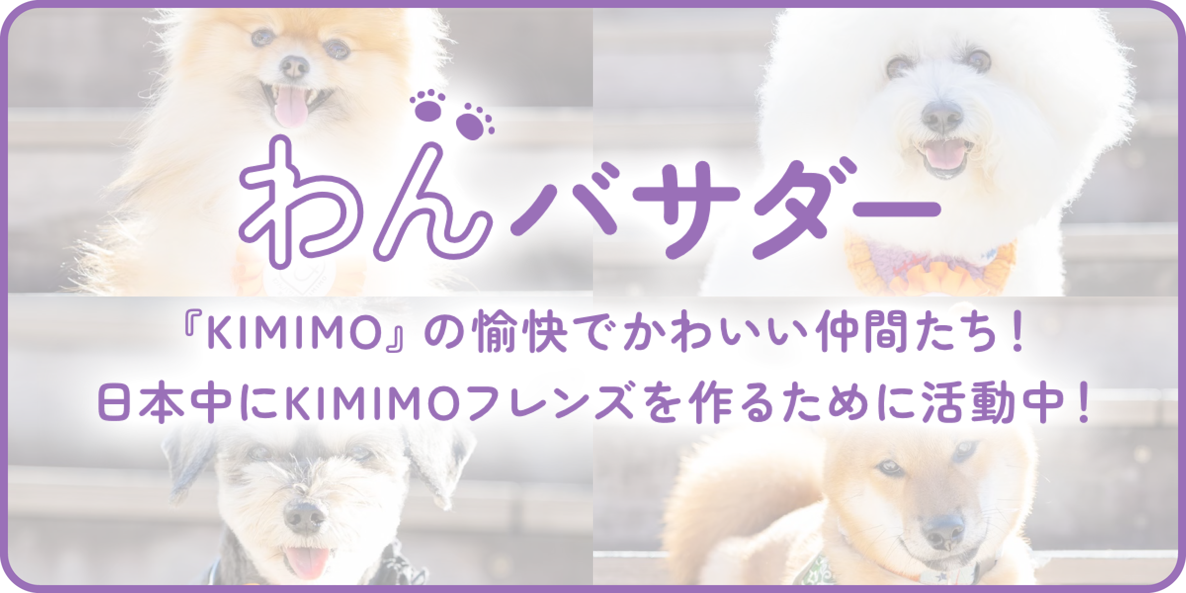 『KIMIMO』の愉快でかわいい仲間たち！日本中にKIMIMOフレンズを作るために活動中！