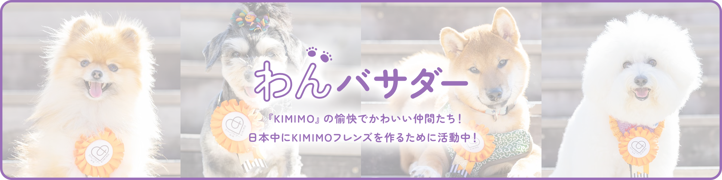 『KIMIMO』の愉快でかわいい仲間たち！日本中にKIMIMOフレンズを作るために活動中！