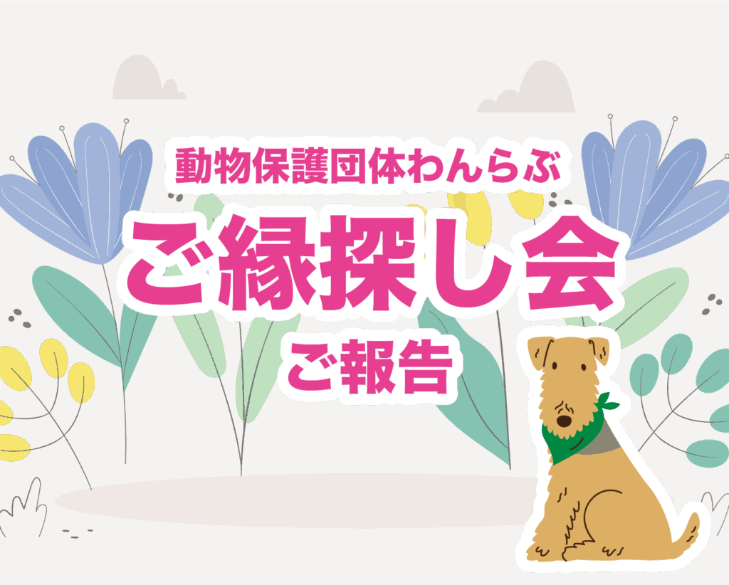 三重県・動物保護団体わんらぶ「ご縁探し会」のご報告