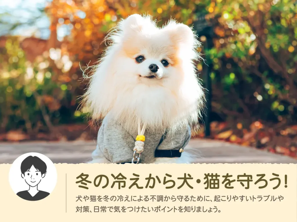 おかまつ動物病院【獣医師岳先生のベテナリー日記】2025年W...